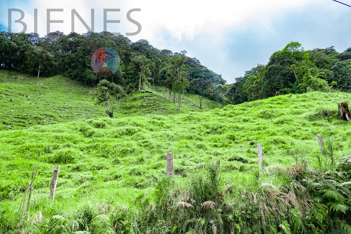 Terreno Extenso en Vizcaya con Espectaculares Vistas