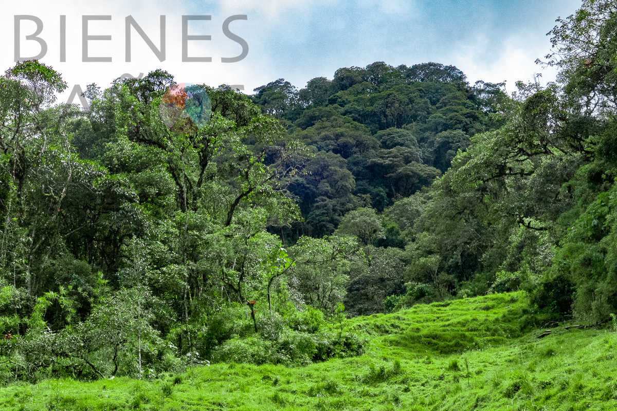 Terreno Extenso en Vizcaya con Espectaculares Vistas
