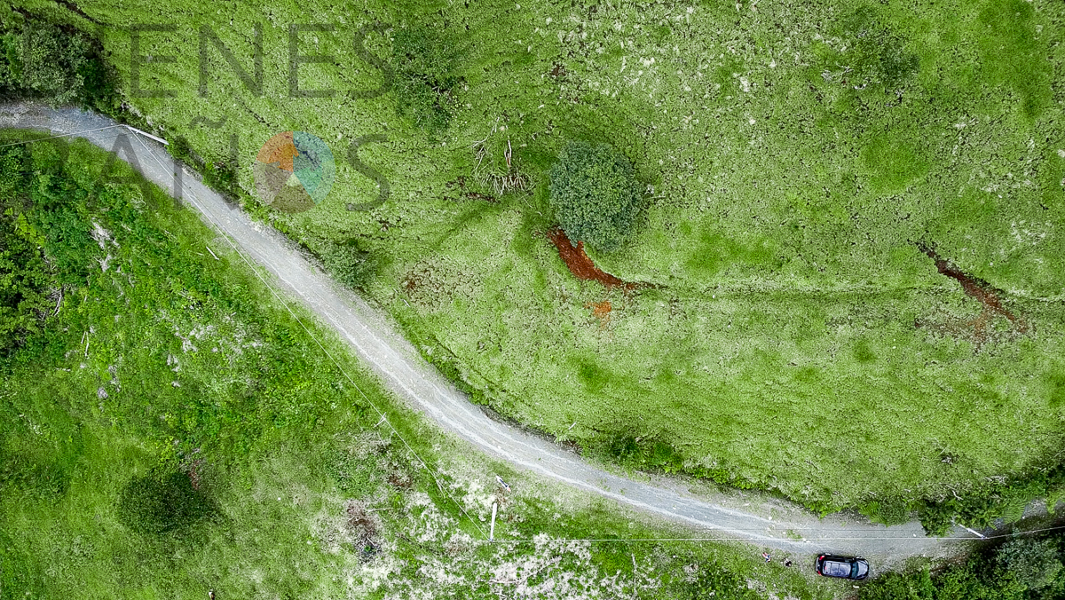 Terreno Extenso en Vizcaya con Espectaculares Vistas