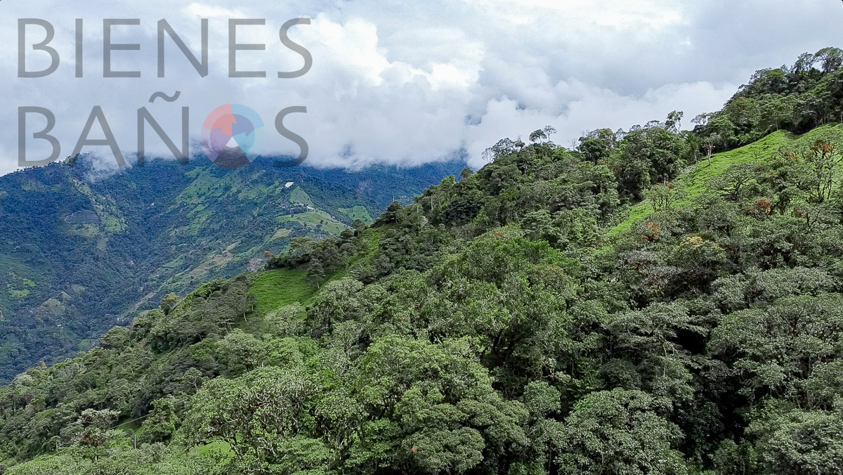 Terreno Extenso en Vizcaya con Espectaculares Vistas
