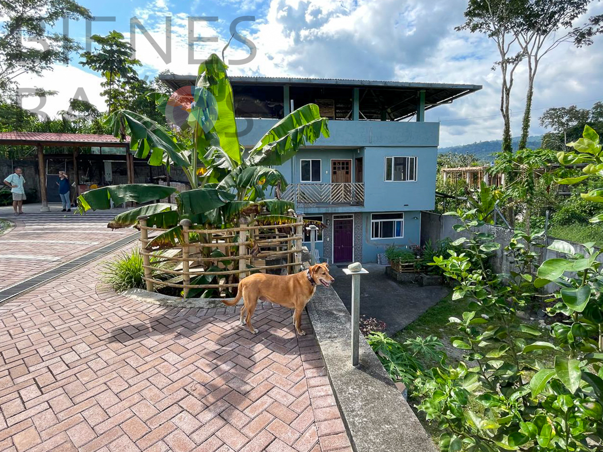 Tu Refugio Moderno en la Selva Amazónica